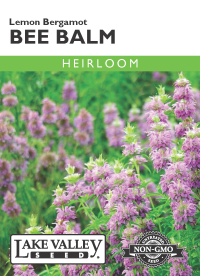 Bee Balm Lemon Bergamot- Item #32341