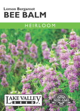 Bee Balm Lemon Bergamot- Item #32341