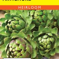 Artichoke Green Globe - Item #32345