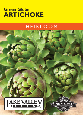 Artichoke Green Globe - Item #32345