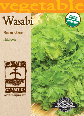 Wasabi Mustard Green - Item #32348