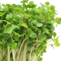 Microgreens